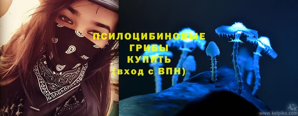 индика Беломорск