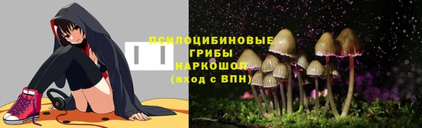 круглые Белокуриха