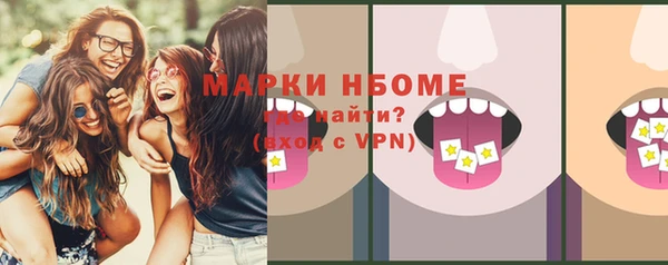 индика Беломорск