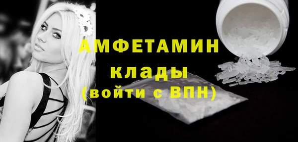 индика Беломорск