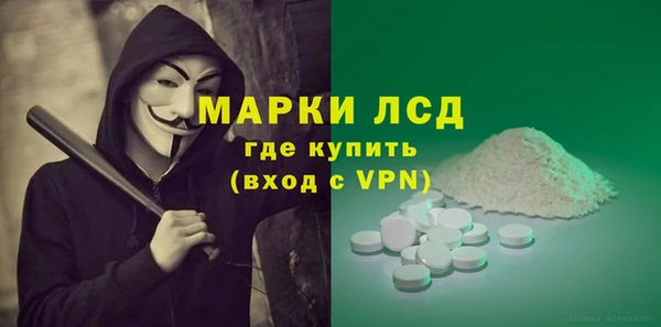 индика Беломорск