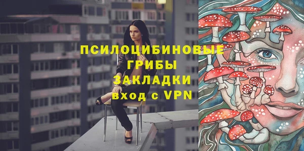 индика Беломорск
