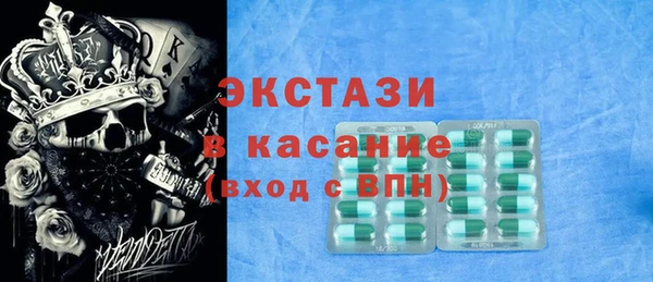индика Беломорск