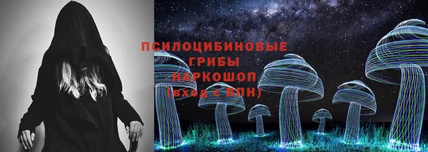 индика Беломорск