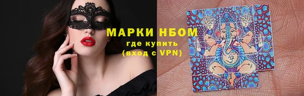 индика Беломорск