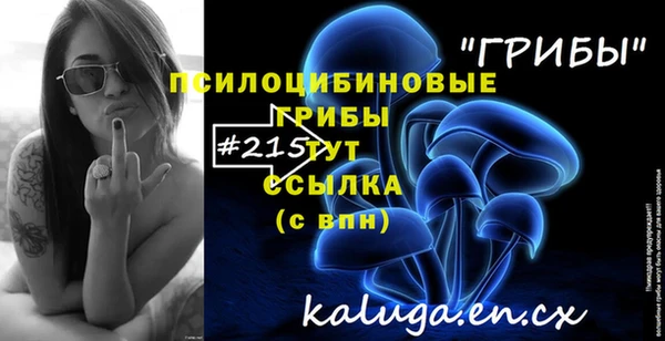 2c-b Белоозёрский