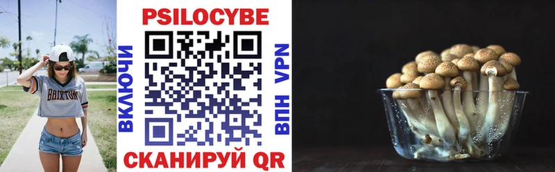darknet Telegram  Ворсма  Псилоцибиновые грибы мицелий 
